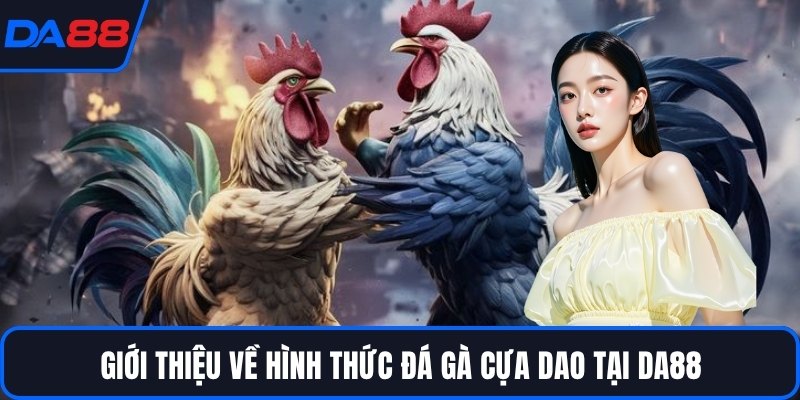 Giới thiệu về hình thức đá gà cựa dao tại DA88