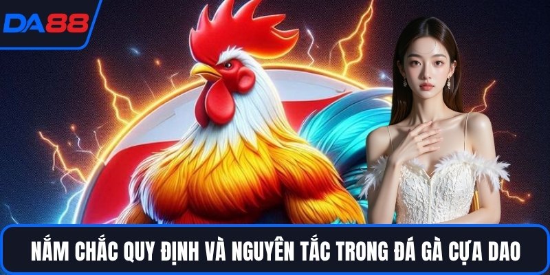 Nắm chắc quy định và nguyên tắc trong đá gà cựa dao